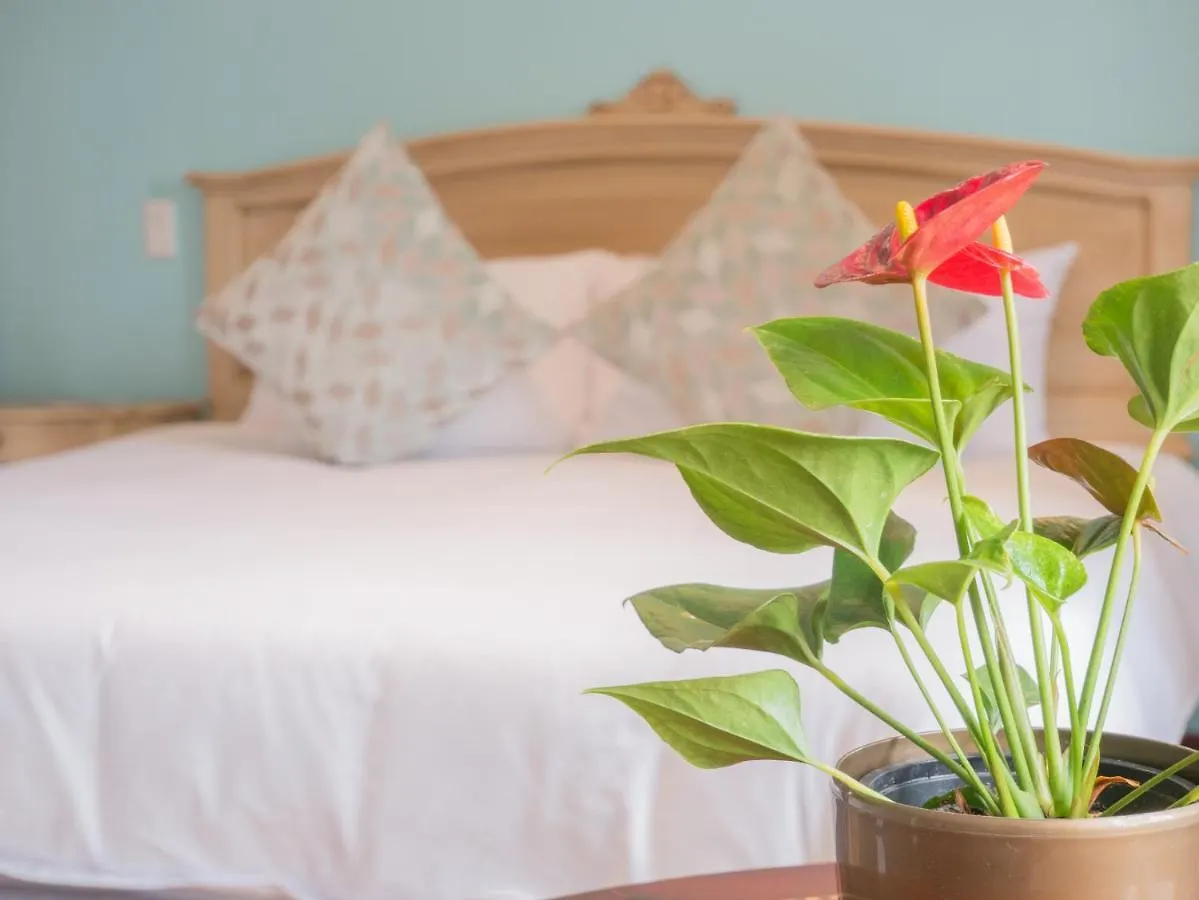 Boutique Hotel In Quito Hotel Casona 1914